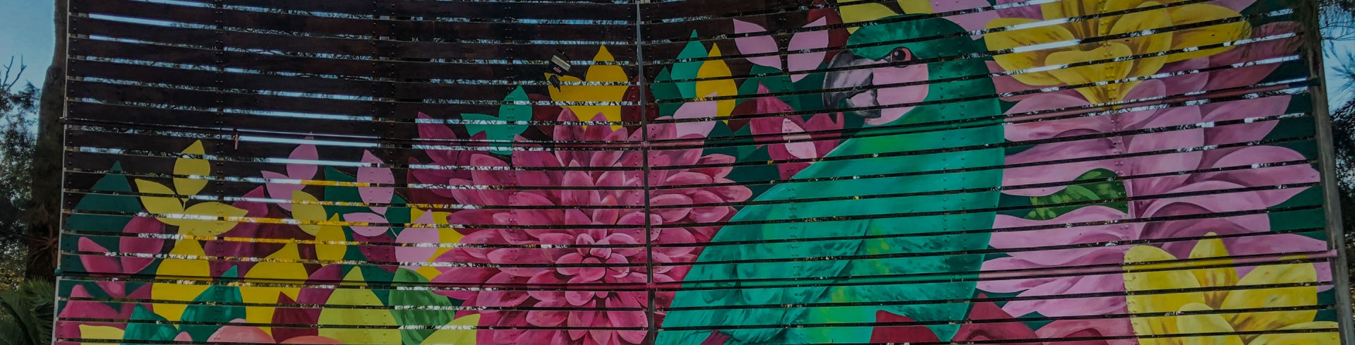 Mikele Pintando en el Parque de Mayo Bahia Blanca